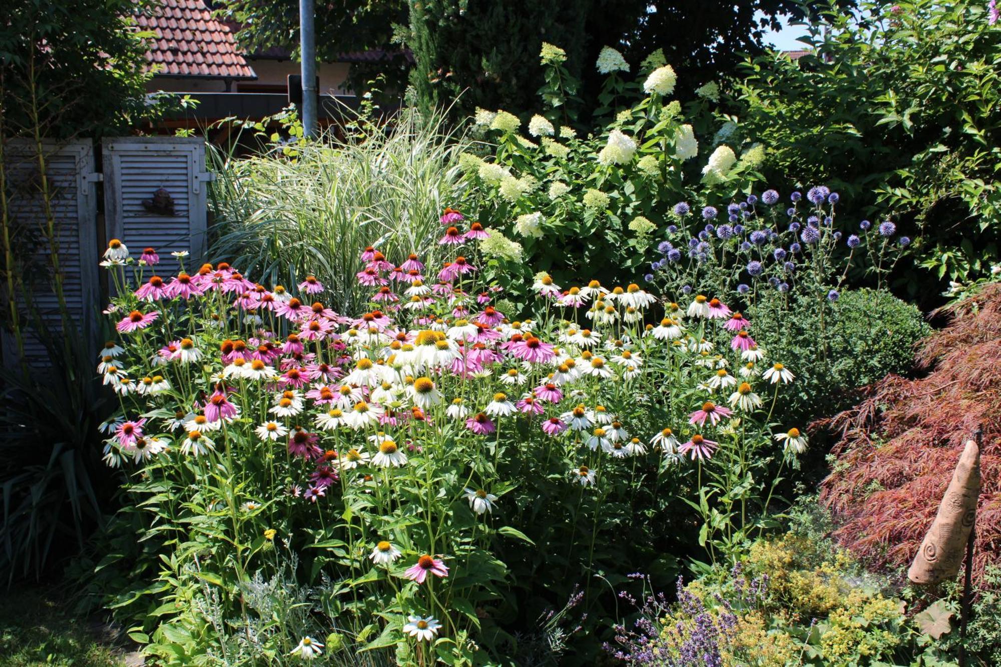 Apartment Im Garten Gengenbach Eksteriør bilde