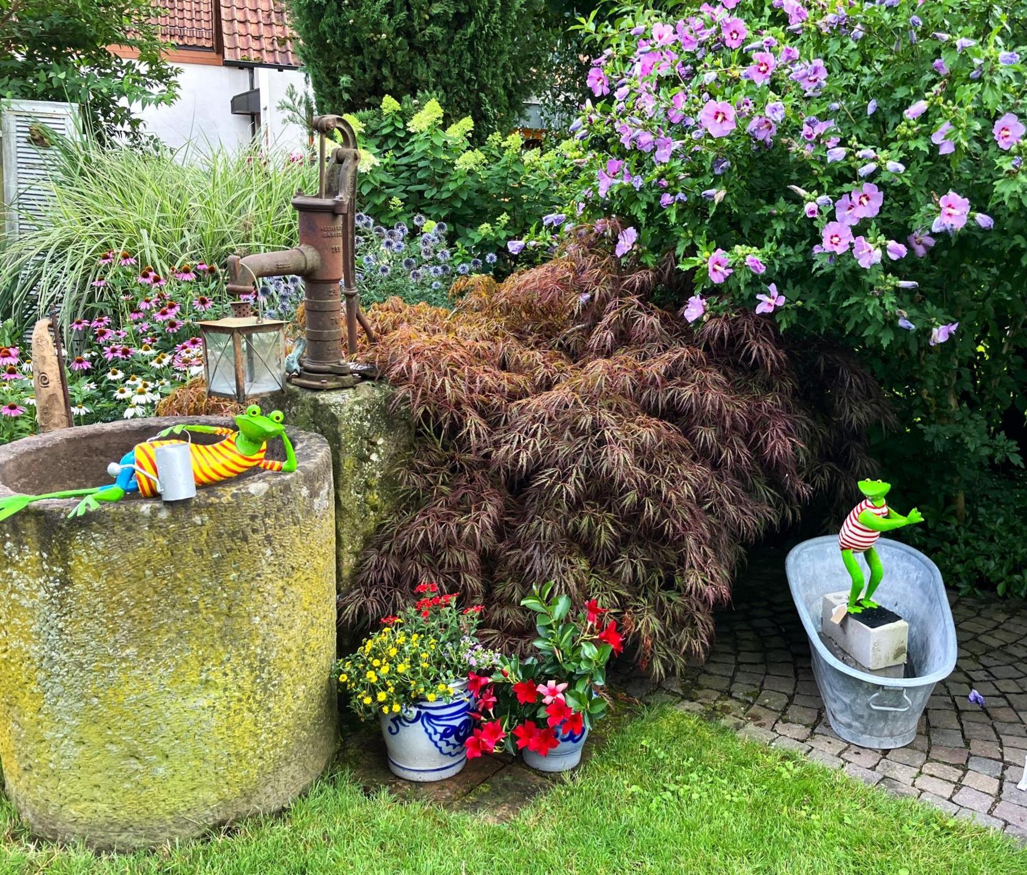Apartment Im Garten Gengenbach Eksteriør bilde